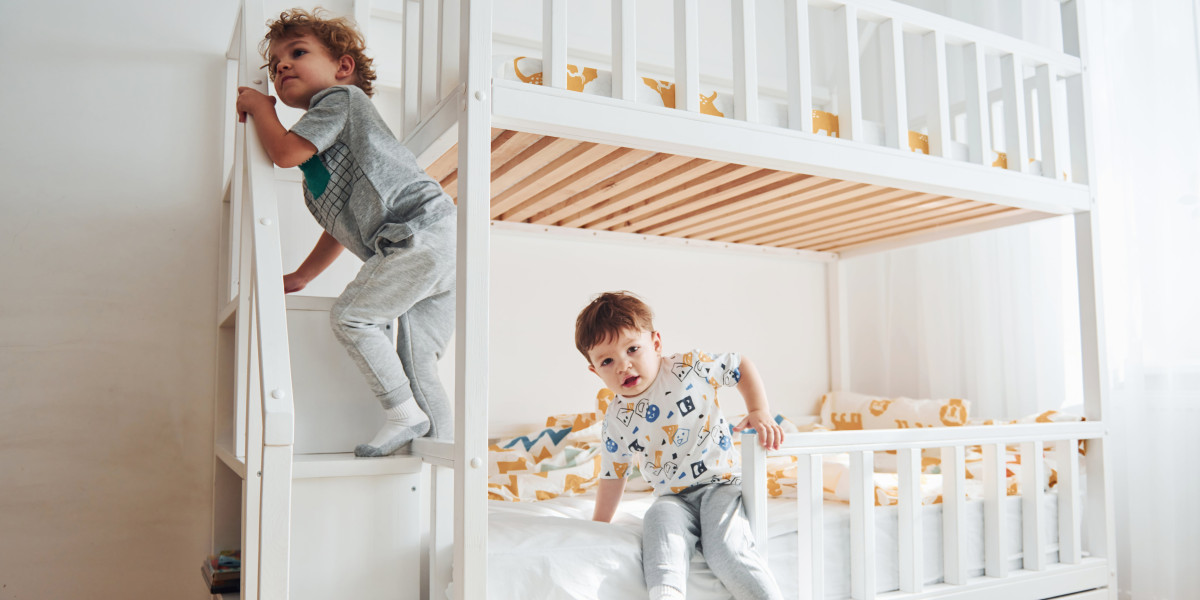 9 Things Your Parents Teach You About The Best Bunk Beds